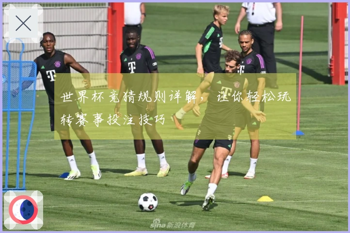 世界杯竞猜规则详解，让你轻松玩转赛事投注技巧