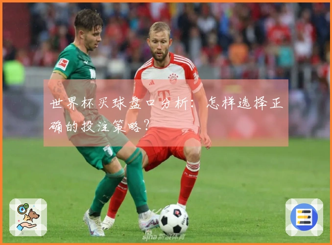 世界杯买球盘口分析:怎样选择正确的投注策略?