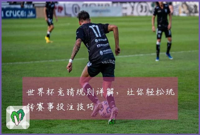 世界杯竞猜规则详解，让你轻松玩转赛事投注技巧