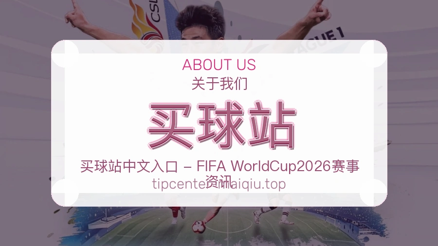 关于 买球站 团队与服务